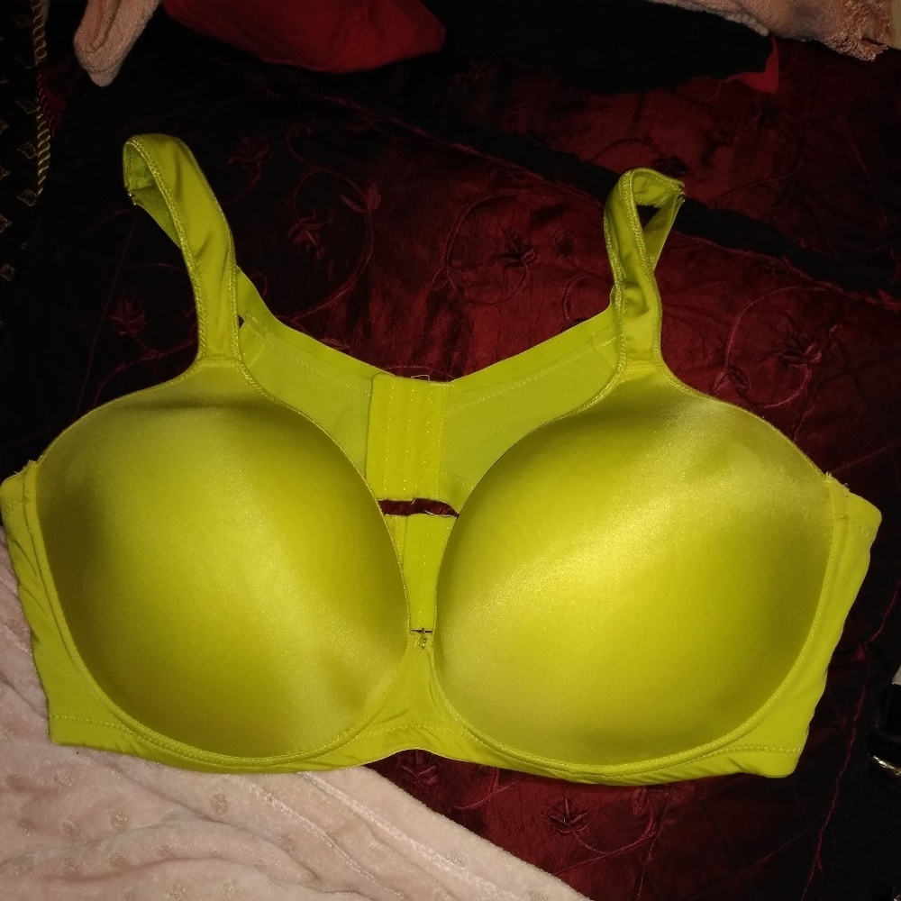 Ashley Stewart Butterfly Bra size 46DDD